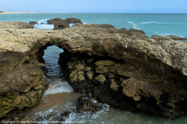 Rock formation in Aveiros Beach, Albufeira Picture Board by Angelo DeVal