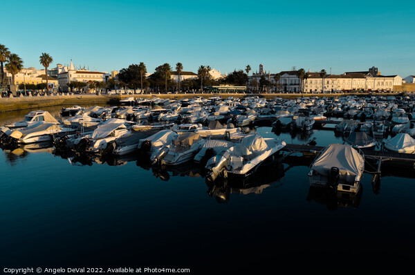 Faro city Marina at late afternoon. Algarve Portugal Picture Board by Angelo DeVal
