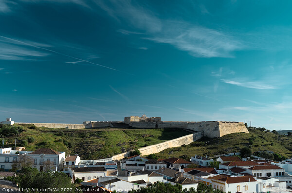 Saint Sebastian Fort and roofs in Portugal  Picture Board by Angelo DeVal