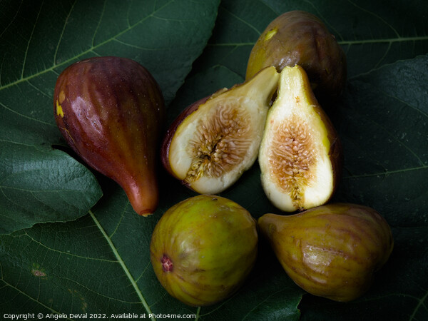 Figs on Leaves Picture Board by Angelo DeVal