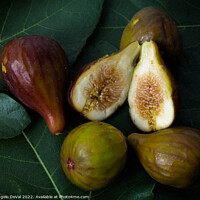 Buy canvas prints of Figs on Leaves by Angelo DeVal