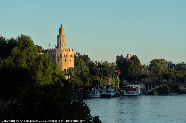 Torre del Oro by the Guadalquivir Picture Board by Angelo DeVal