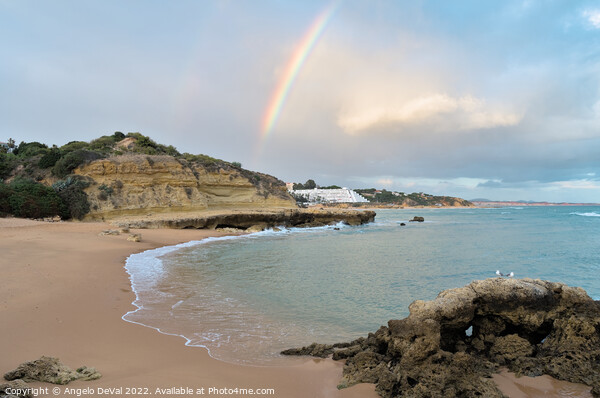 Rainbow in Aveiros Beach Picture Board by Angelo DeVal