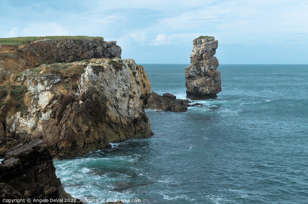 Papoa cliffs and sea in Peniche Picture Board by Angelo DeVal