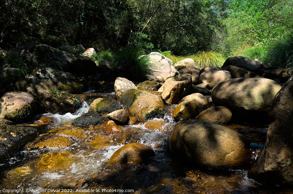 River and rocks in Carvalhais Picture Board by Angelo DeVal