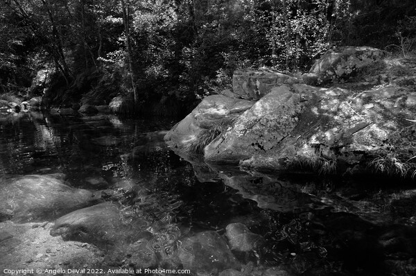 Rocks and peaceful river in Carvalhais with monochrome Picture Board by Angelo DeVal