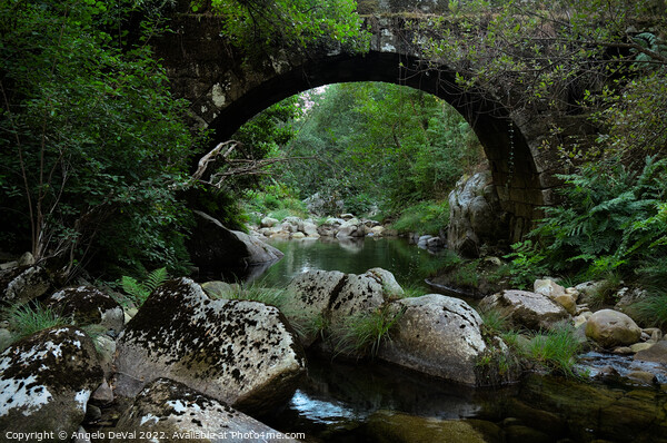 Antique stone bridge and river in Carvalhais Picture Board by Angelo DeVal