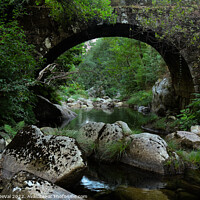 Buy canvas prints of Antique stone bridge and river in Carvalhais by Angelo DeVal