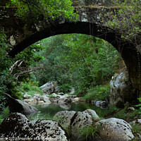 Buy canvas prints of Antique stone bridge in Carvalhais by Angelo DeVal