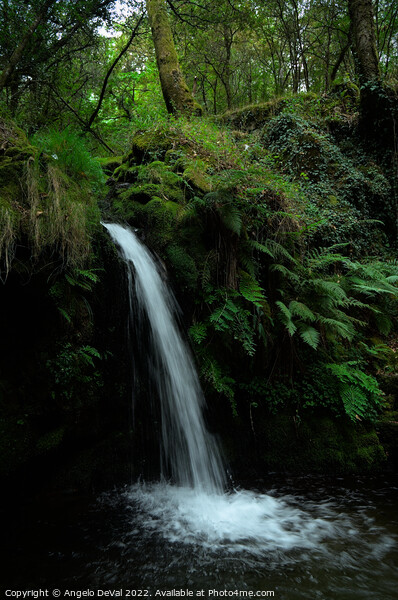Waterfall in the middle of Carvalhais forest Picture Board by Angelo DeVal