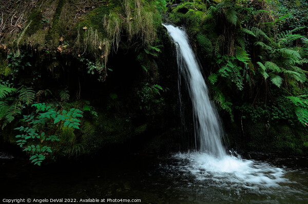 Waterfall in the middle of Carvalhais forest Picture Board by Angelo DeVal