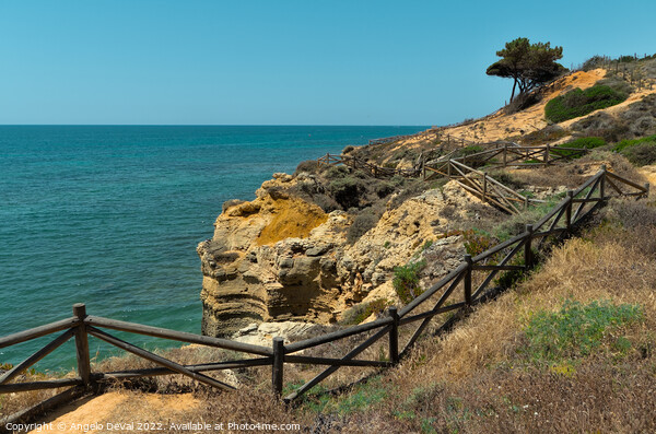 Cliff Trail in Olhos de Agua. Algarve Picture Board by Angelo DeVal