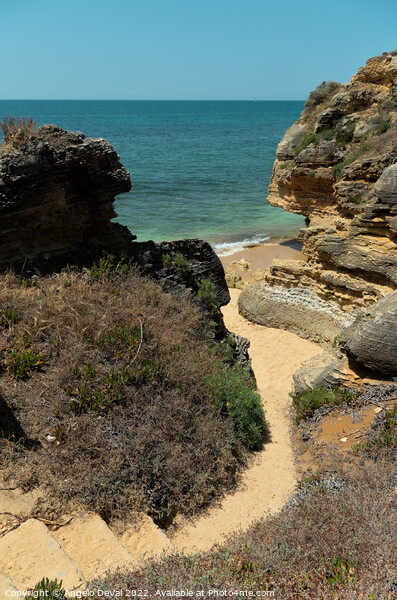 Stairs to Gorgeous Beach in Olhos de Agua. Algarve Picture Board by Angelo DeVal