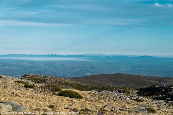 Scene from the top of Serra da Estrela Picture Board by Angelo DeVal