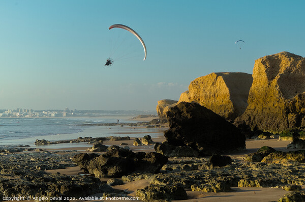 Paraplane Flying Over Gale Beach Picture Board by Angelo DeVal