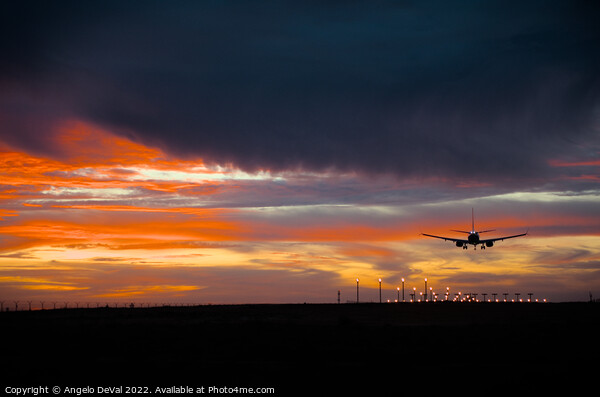 Airplane Landing at Dusk Picture Board by Angelo DeVal