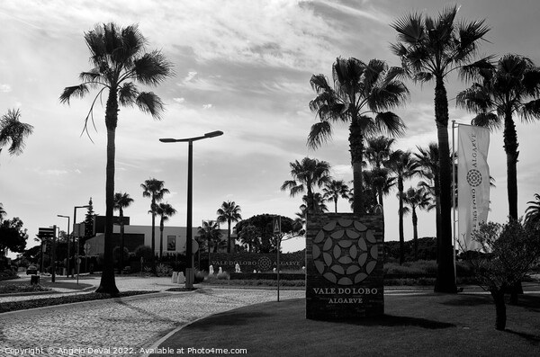 Vale do Lobo Roundabout Picture Board by Angelo DeVal