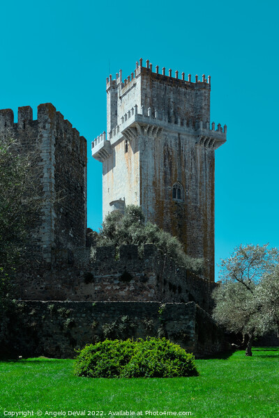 Beja Castle from Outside Picture Board by Angelo DeVal