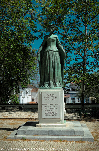 Queen Dona Leonor Statue in Beja Picture Board by Angelo DeVal