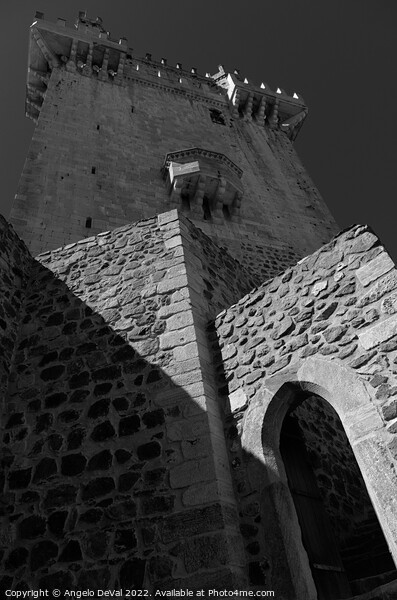 Beja Keep Tower in Monochrome Picture Board by Angelo DeVal