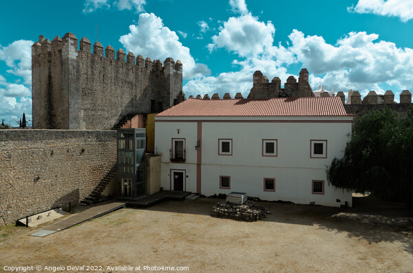 Castle of Serpa in Alentejo Picture Board by Angelo DeVal