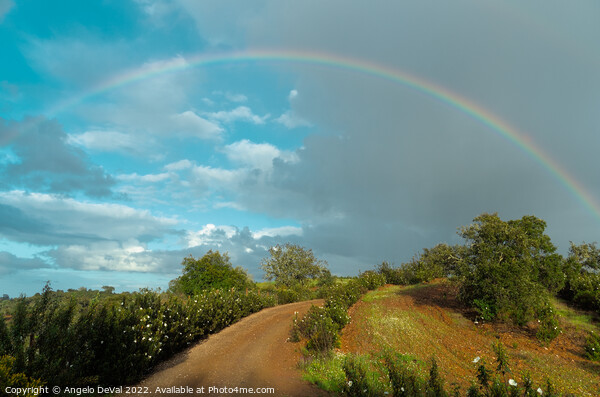 Path to Rainbow in Alentejo Picture Board by Angelo DeVal