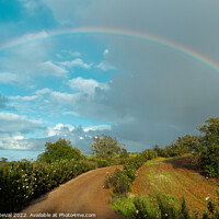 Buy canvas prints of Path to Rainbow in Alentejo by Angelo DeVal