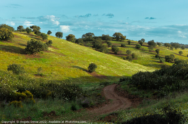 Curvy Path in the Fields of Alentejo Picture Board by Angelo DeVal