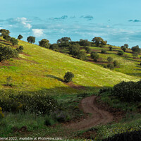 Buy canvas prints of Curvy Path in the Fields of Alentejo by Angelo DeVal