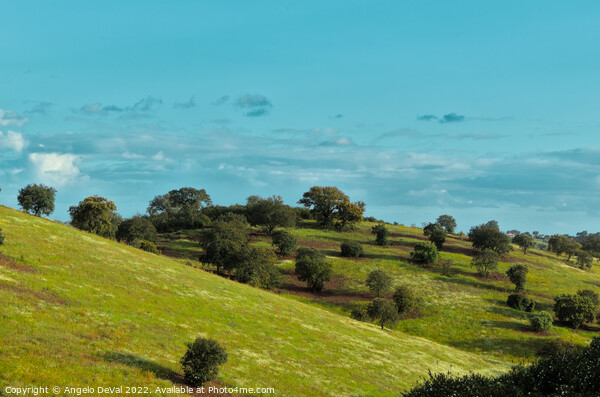Green Fields of Alentejo After Rain Picture Board by Angelo DeVal