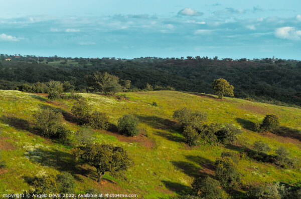 Afternoon in the green fields of Alentejo Picture Board by Angelo DeVal