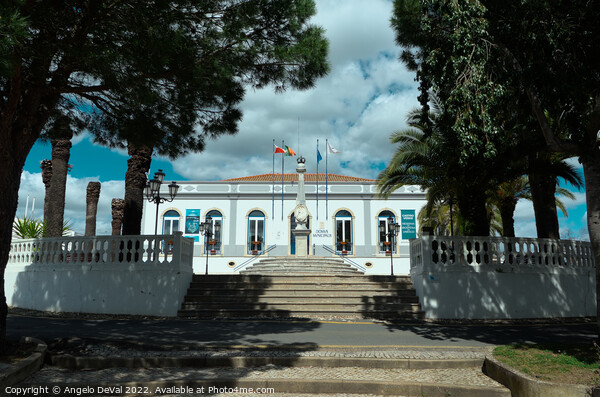 District Council of Castro Verde - Alentejo Picture Board by Angelo DeVal