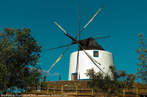 Maralhas Windmill in Aljustrel - Alentejo Picture Board by Angelo DeVal