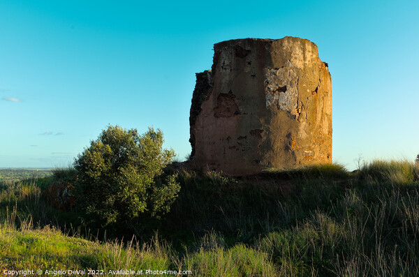 Ruins of the Old Mill of Aljustrel Picture Board by Angelo DeVal