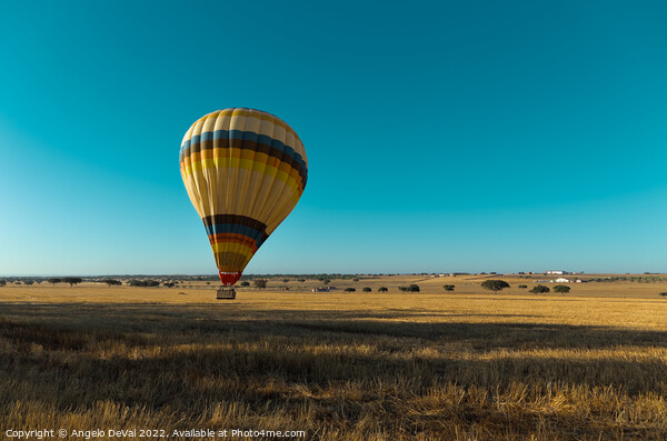Balloon Landing in Alentejo Picture Board by Angelo DeVal