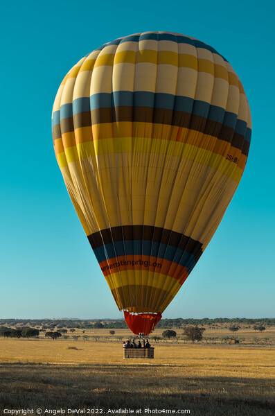 Hot Air Balloon on Alentejo Fields Picture Board by Angelo DeVal