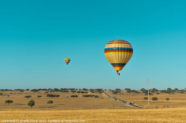 Air Balloons Above Alentejo Fields Picture Board by Angelo DeVal