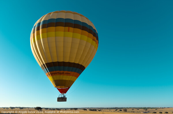 Air Balloon Flying Close Alentejo Fields in Portugal Picture Board by Angelo DeVal