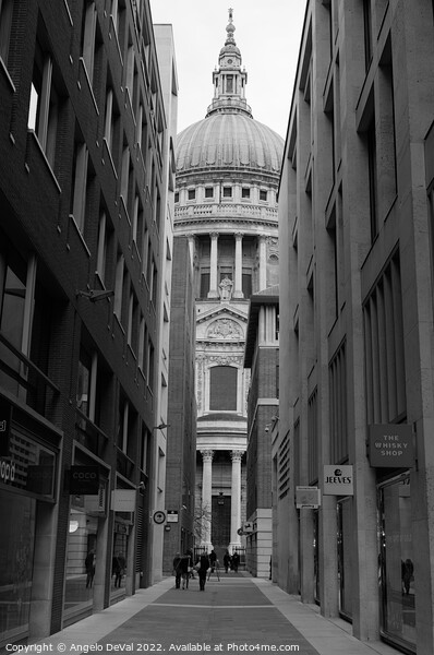 Canon Aly and St Pauls Cathedral in London - Monochrome Picture Board by Angelo DeVal
