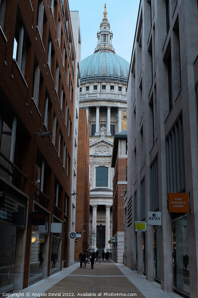 Canon Aly and St Pauls Cathedral in London Picture Board by Angelo DeVal