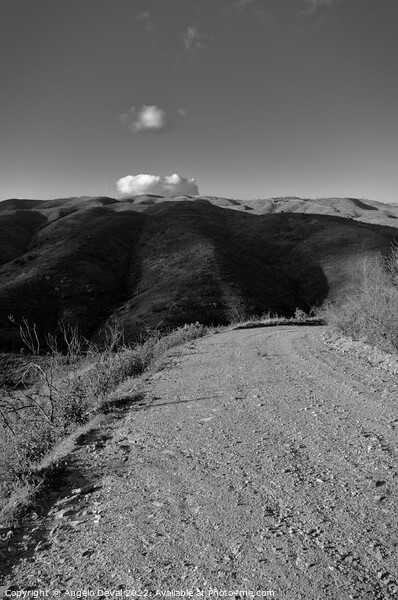 Gravel Roads of Caldeirao in Monochrome Picture Board by Angelo DeVal