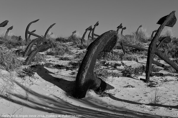 Tuna Anchors of Barril Beach Picture Board by Angelo DeVal