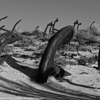 Buy canvas prints of Tuna Anchors of Barril Beach by Angelo DeVal