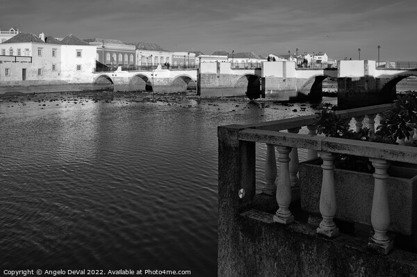Sight of Gilao River in Tavira City Picture Board by Angelo DeVal