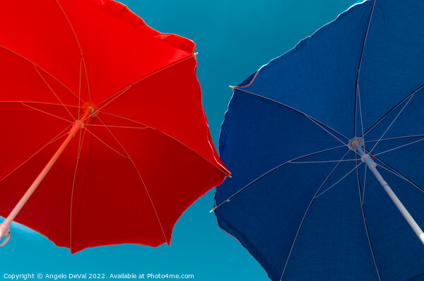 Red and Blue Beach Umbrellas Picture Board by Angelo DeVal