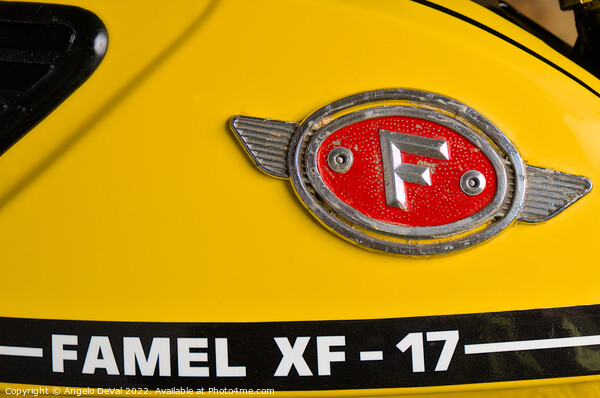 Classic Zundapp bike XF-17 gas tank logo detail Picture Board by Angelo DeVal