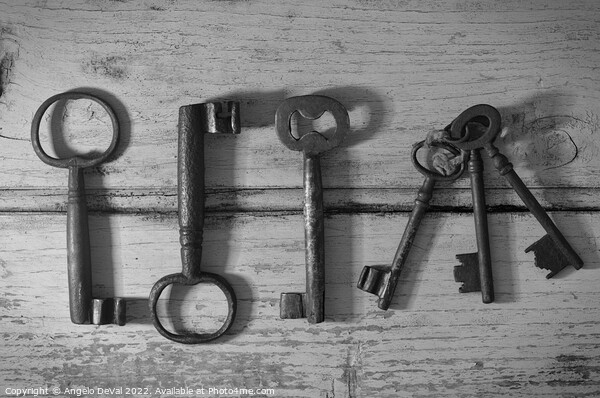 Skeleton Keys in Monochrome Picture Board by Angelo DeVal