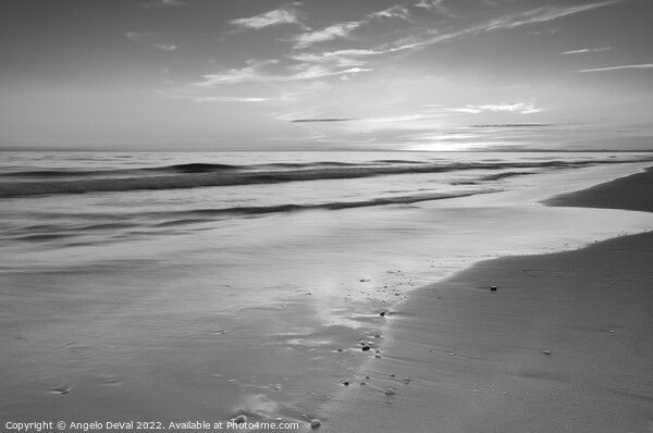 Quinta do Lago Beach Sunset in Monochrome Picture Board by Angelo DeVal