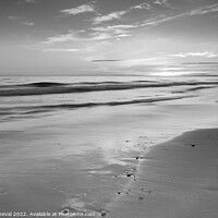 Buy canvas prints of Quinta do Lago Beach Sunset in Monochrome by Angelo DeVal