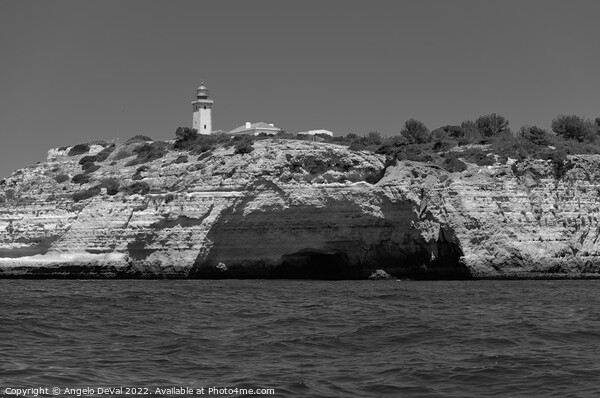 Lighthouse of Alfanzina in Monochrome Picture Board by Angelo DeVal